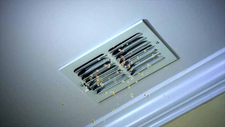 Best Local Air Duct Cleaning Services  in Middle Valley, TN