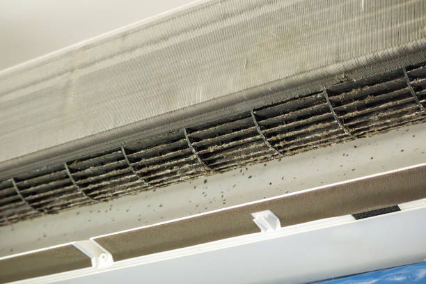 Affordable HVAC Duct Cleaning in Middle Valley, TN